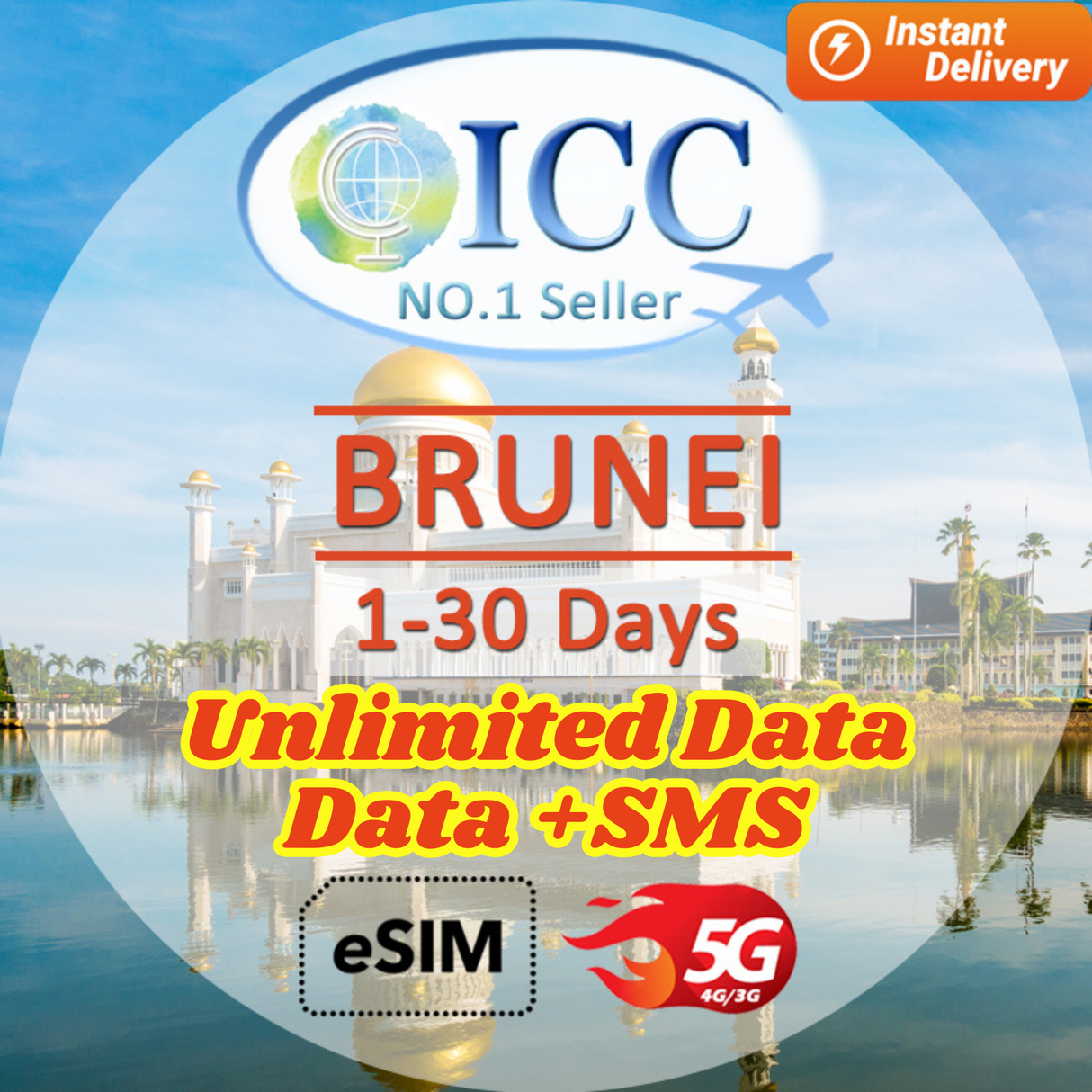 ICC eSIM - Brunei 1-30 Days Data eSIM| Data+ SMS* Plan Support Tiktok|Unlimited Data| Daily Plan can top up reuse