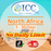 ICC SIM Card - North Africa (Algeria, Egypt*, Morocco, Tunisia) 3-30 Days Data | No Daily Limit| Can use Tiktok
