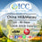 ICC eSIM - China Mainland, Macau/Taiwan 10-90 Days Data SIM - China Unicom Network (24/7 auto deliver eSIM )