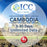 ICC SIM Card - Cambodia 3-10 Days Unlimited Data